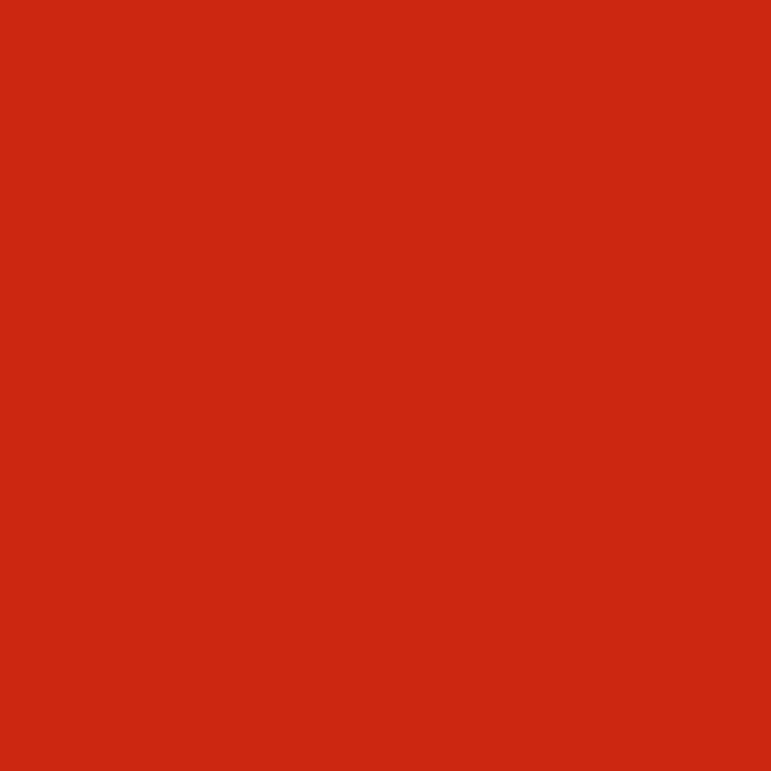Plain Jayne with a Y Lego Red